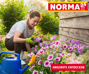 Jetzt Cashback-Erhöhung sichern!